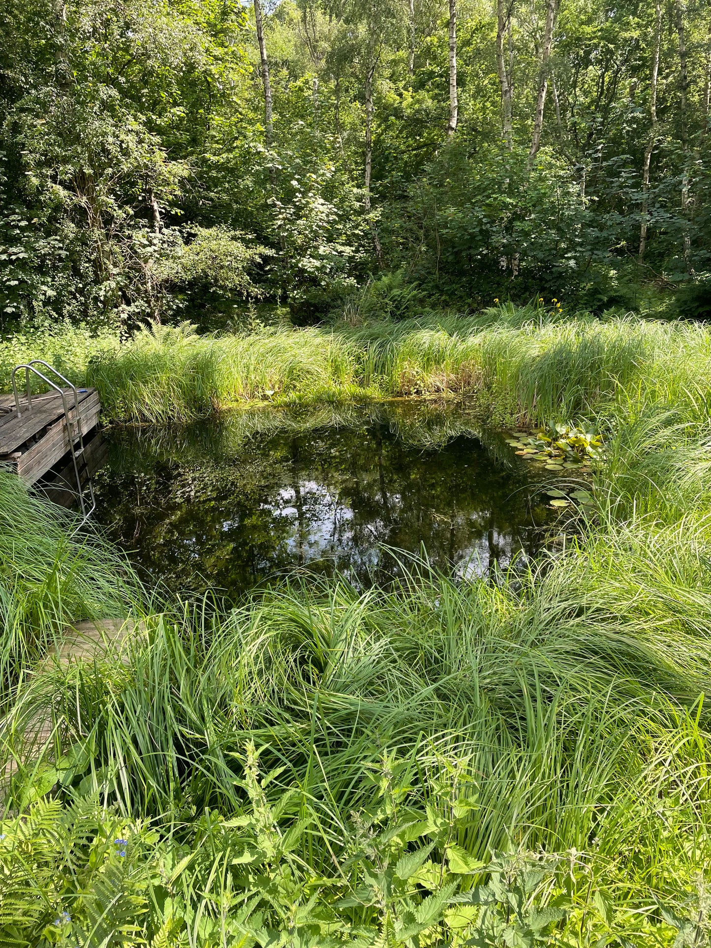 1 hour woodland sauna for up to six people